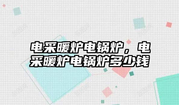 電采暖爐電鍋爐，電采暖爐電鍋爐多少錢