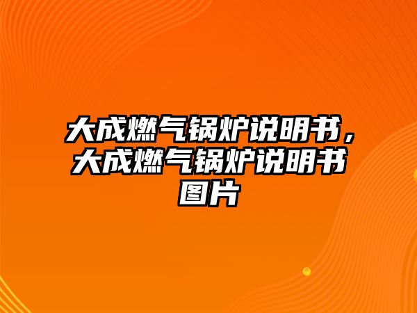 大成燃?xì)忮仩t說明書，大成燃?xì)忮仩t說明書圖片