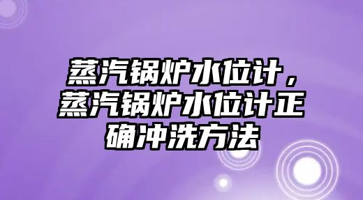 蒸汽鍋爐水位計，蒸汽鍋爐水位計正確沖洗方法