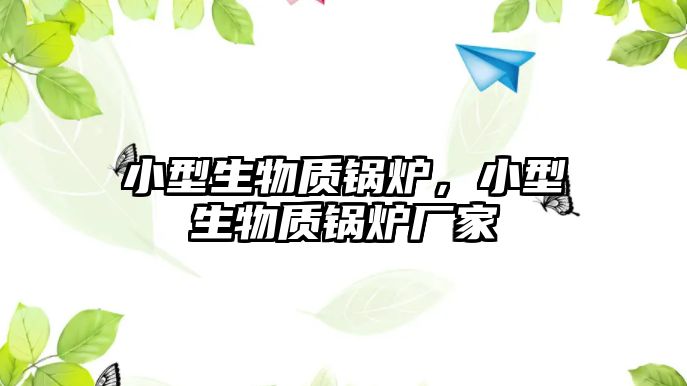 小型生物質(zhì)鍋爐，小型生物質(zhì)鍋爐廠家