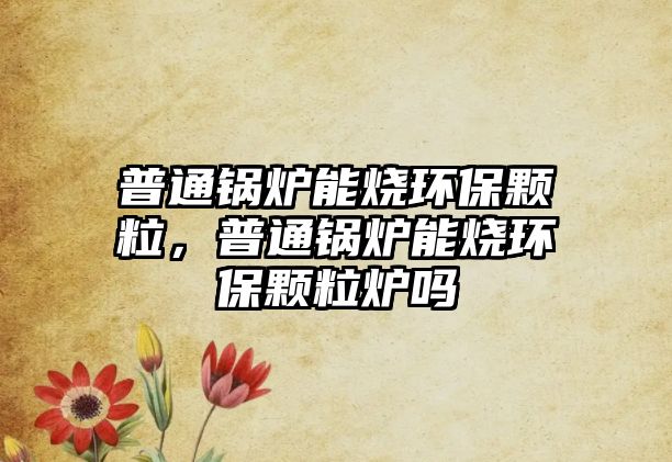 普通鍋爐能燒環(huán)保顆粒，普通鍋爐能燒環(huán)保顆粒爐嗎