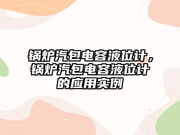 鍋爐汽包電容液位計，鍋爐汽包電容液位計的應用實例