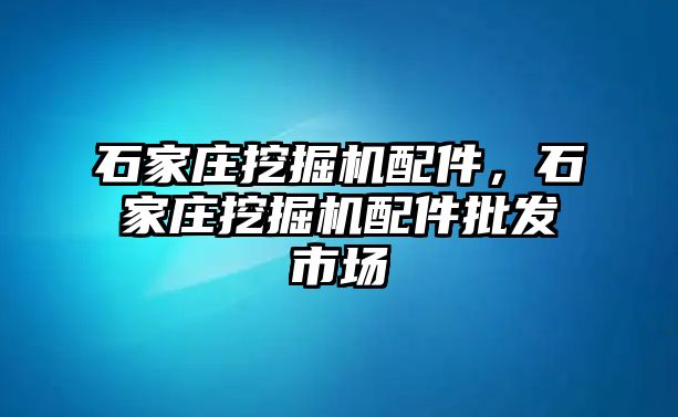 石家莊挖掘機(jī)配件，石家莊挖掘機(jī)配件批發(fā)市場(chǎng)