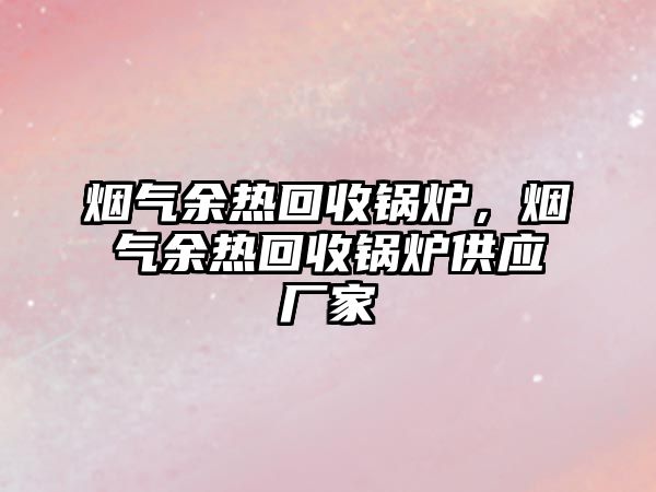 煙氣余熱回收鍋爐，煙氣余熱回收鍋爐供應廠家