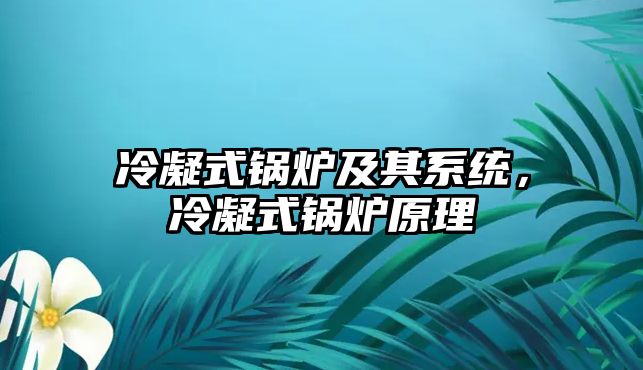 冷凝式鍋爐及其系統(tǒng)，冷凝式鍋爐原理