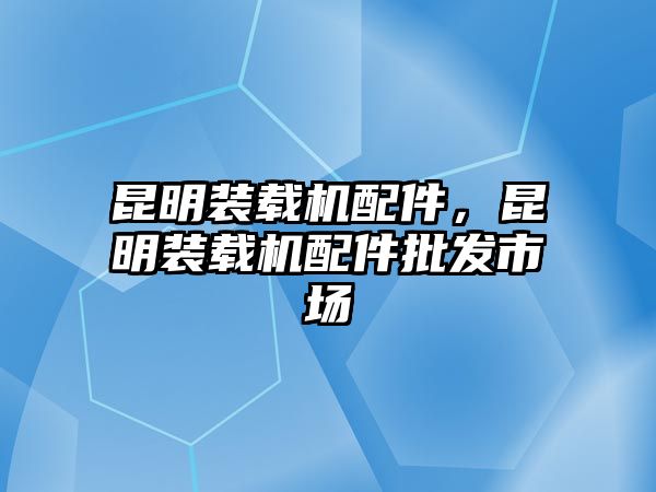 昆明裝載機(jī)配件，昆明裝載機(jī)配件批發(fā)市場