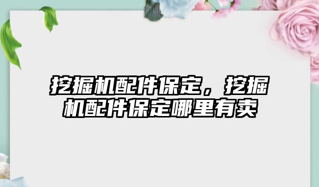 挖掘機配件保定，挖掘機配件保定哪里有賣