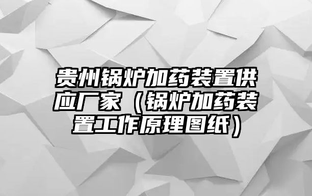 貴州鍋爐加藥裝置供應(yīng)廠(chǎng)家（鍋爐加藥裝置工作原理圖紙）