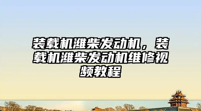 裝載機濰柴發(fā)動機，裝載機濰柴發(fā)動機維修視頻教程