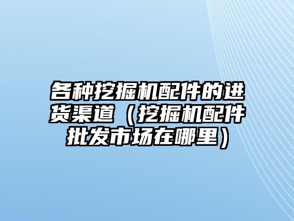 各種挖掘機配件的進貨渠道（挖掘機配件批發(fā)市場在哪里）