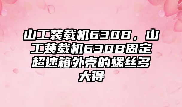 山工裝載機(jī)630B，山工裝載機(jī)630B固定超速箱外殼的螺絲多大得