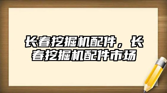 長春挖掘機配件，長春挖掘機配件市場