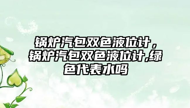 鍋爐汽包雙色液位計，鍋爐汽包雙色液位計,綠色代表水嗎