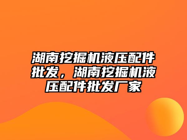 湖南挖掘機液壓配件批發(fā)，湖南挖掘機液壓配件批發(fā)廠家