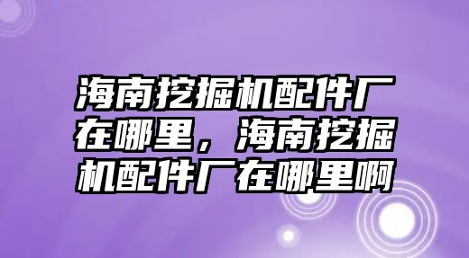 海南挖掘機配件廠在哪里，海南挖掘機配件廠在哪里啊