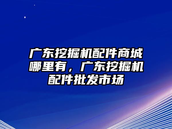 廣東挖掘機配件商城哪里有，廣東挖掘機配件批發(fā)市場