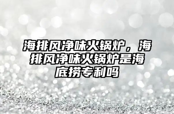 海排風凈味火鍋爐，海排風凈味火鍋爐是海底撈專利嗎