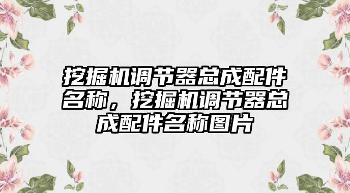 挖掘機調節(jié)器總成配件名稱，挖掘機調節(jié)器總成配件名稱圖片