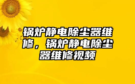 鍋爐靜電除塵器維修，鍋爐靜電除塵器維修視頻