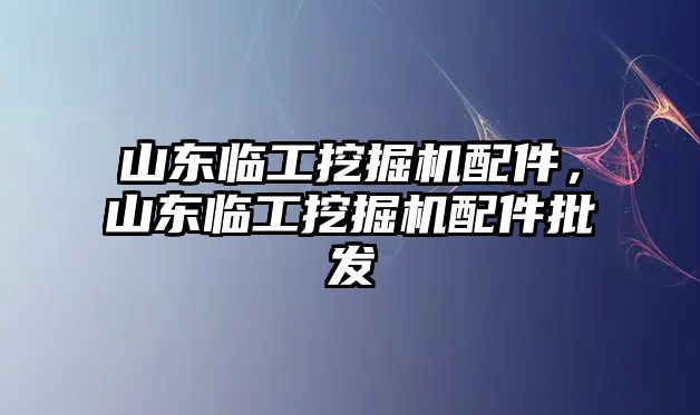 山東臨工挖掘機配件，山東臨工挖掘機配件批發(fā)