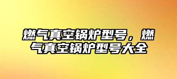 燃?xì)庹婵斟仩t型號，燃?xì)庹婵斟仩t型號大全