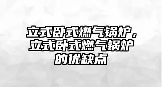 立式臥式燃?xì)忮仩t，立式臥式燃?xì)忮仩t的優(yōu)缺點(diǎn)