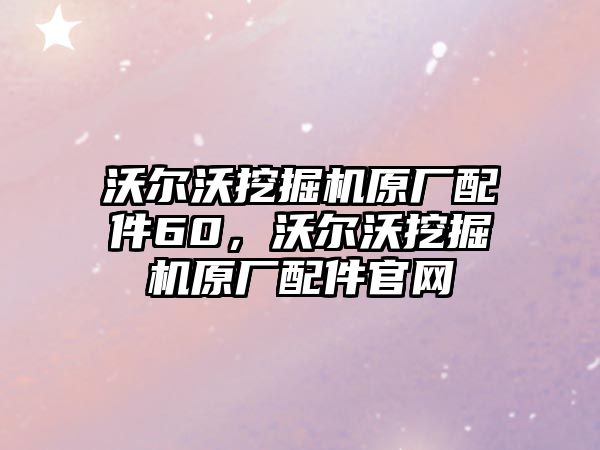 沃爾沃挖掘機原廠配件60，沃爾沃挖掘機原廠配件官網(wǎng)