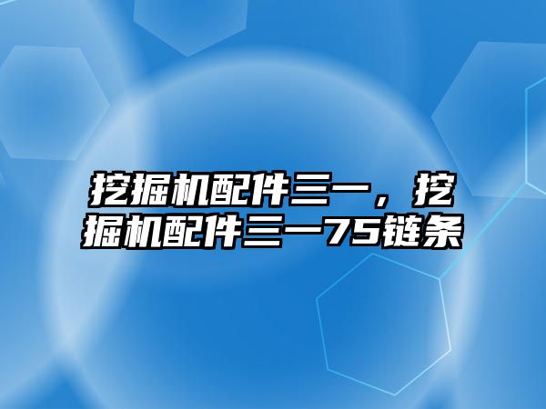 挖掘機(jī)配件三一，挖掘機(jī)配件三一75鏈條