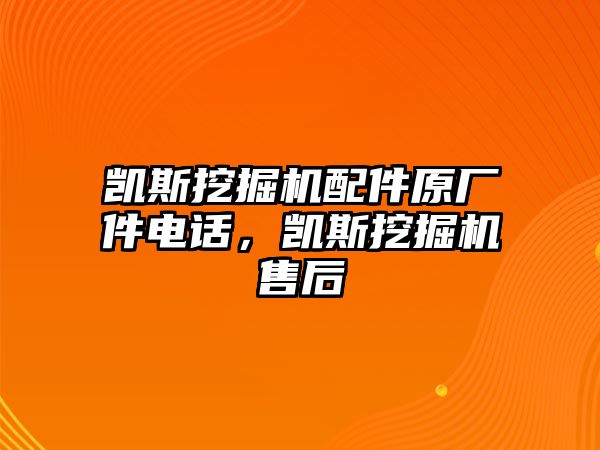 凱斯挖掘機配件原廠件電話，凱斯挖掘機售后