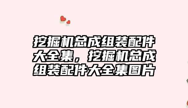 挖掘機總成組裝配件大全集，挖掘機總成組裝配件大全集圖片