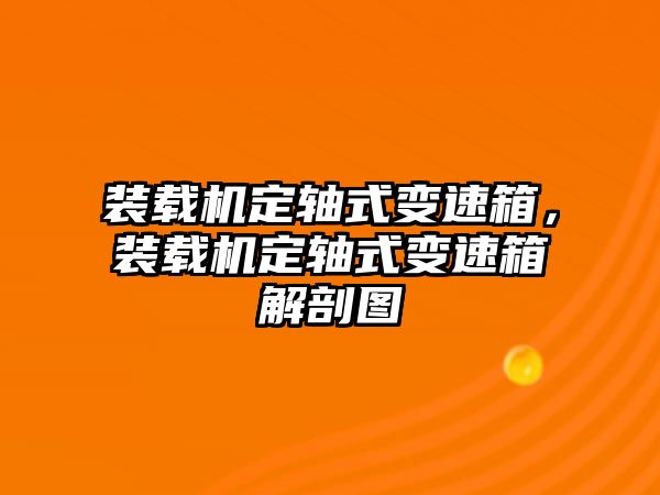 裝載機(jī)定軸式變速箱，裝載機(jī)定軸式變速箱解剖圖