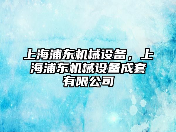 上海浦東機械設備，上海浦東機械設備成套有限公司