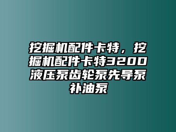 挖掘機(jī)配件卡特，挖掘機(jī)配件卡特320D液壓泵齒輪泵先導(dǎo)泵補(bǔ)油泵