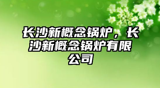 長(zhǎng)沙新概念鍋爐，長(zhǎng)沙新概念鍋爐有限公司