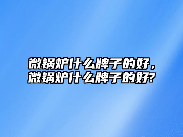 微鍋爐什么牌子的好，微鍋爐什么牌子的好?