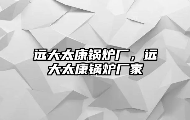 遠大太康鍋爐廠，遠大太康鍋爐廠家