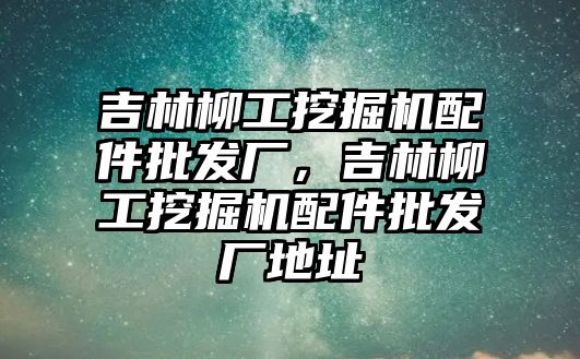 吉林柳工挖掘機配件批發(fā)廠，吉林柳工挖掘機配件批發(fā)廠地址