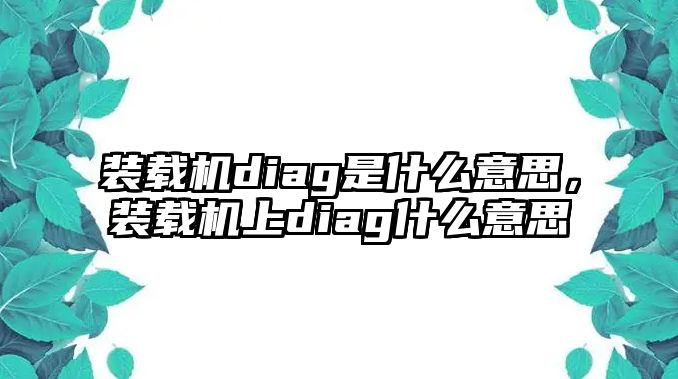 裝載機diag是什么意思，裝載機上diag什么意思