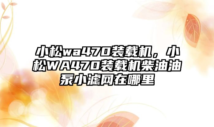 小松wa470裝載機，小松WA470裝載機柴油油泵小濾網在哪里