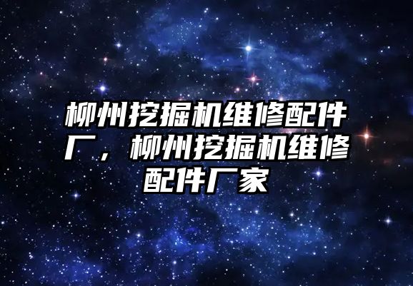 柳州挖掘機(jī)維修配件廠，柳州挖掘機(jī)維修配件廠家