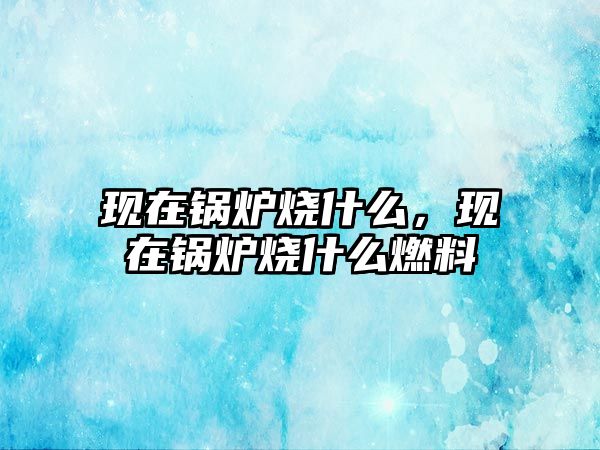 現(xiàn)在鍋爐燒什么，現(xiàn)在鍋爐燒什么燃料