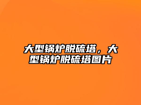 大型鍋爐脫硫塔，大型鍋爐脫硫塔圖片