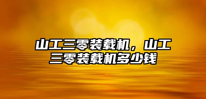 山工三零裝載機(jī)，山工三零裝載機(jī)多少錢(qián)