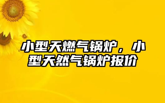 小型天燃?xì)忮仩t，小型天然氣鍋爐報(bào)價(jià)