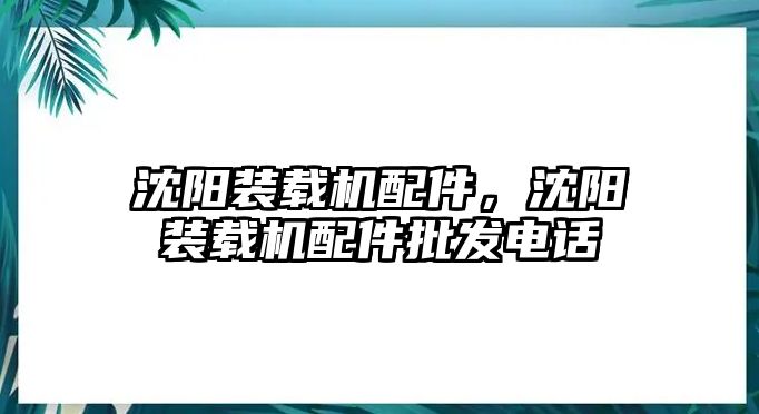 沈陽裝載機配件，沈陽裝載機配件批發(fā)電話