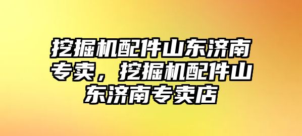 挖掘機(jī)配件山東濟(jì)南專賣，挖掘機(jī)配件山東濟(jì)南專賣店