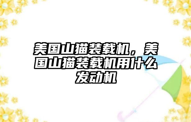 美國(guó)山貓裝載機(jī)，美國(guó)山貓裝載機(jī)用什么發(fā)動(dòng)機(jī)