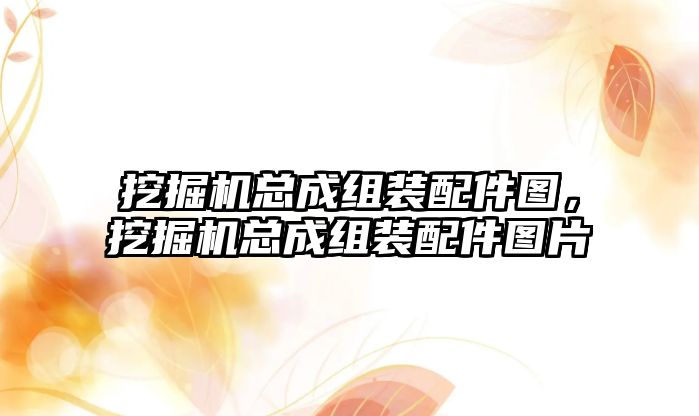 挖掘機總成組裝配件圖，挖掘機總成組裝配件圖片