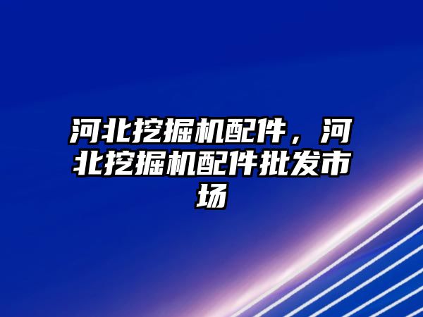 河北挖掘機配件，河北挖掘機配件批發(fā)市場