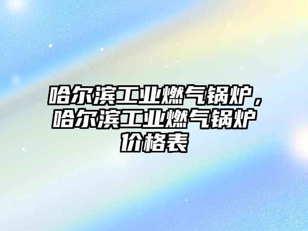 哈爾濱工業(yè)燃氣鍋爐，哈爾濱工業(yè)燃氣鍋爐價格表